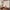 Beige botanical patterned curtains in a warm dining room with a family at the table