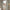Woman opening beige floral linen-look curtains by a bright window in a cozy room
