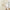 Ivory room darkening curtain tied back with wood holdback in a minimalist room