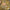 Mustard yellow fabric with ornate botanical floral print in pink, blue, and cream