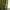 Olive green thermal blackout curtain fabric showing front and back sides by a window