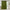 Olive green velvet pinch pleat curtain panel on a black rod in a bright neutral room
