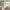 Woman sitting on white sofa beside sage botanical curtains in a bright living room