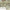 Sage green floral print fabric with soft drape and delicate botanical pattern